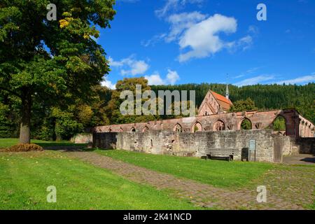 Abbazia di Hirsau (ex abbazia benedettina): Rovine del chiostro e cappella della signora , vicino a Calw nella Foresta Nera settentrionale, Baden-Württemberg, Germania Foto Stock