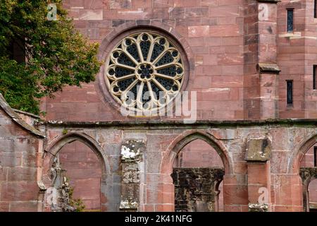 Abbazia di Hirsau (ex abbazia benedettina): Rosone della cappella della Signora (Marienkapelle), vicino a Calw nella Foresta Nera settentrionale, Baden-Württemberg, Germania Foto Stock