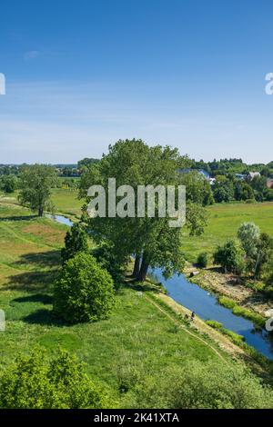 Valle del fiume Łydynia (affluente della riva sinistra del fiume Wkra) paesaggio a Ciechanów, Polonia Foto Stock