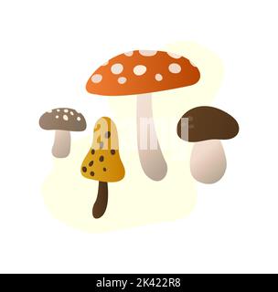 Immagine vettoriale. Set di funghi forestali vari. L'immagine isolata. Una serie di funghi autunnali vari. Cappelli multicolori e size.autumn atmosfera Foto Stock