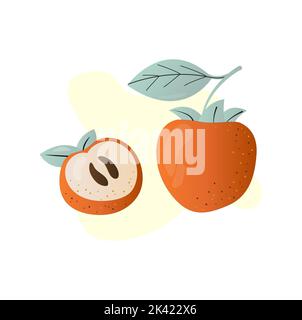 Modello senza cuciture con frutti di persimmons maturi. Illustrazione vettoriale per la stampa su tessuti, carta da imballaggio, tovaglioli, carta da parati, borse da regalo, cucina u Foto Stock