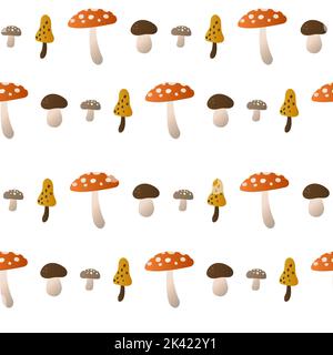 Immagine vettoriale. Set di funghi forestali vari. L'immagine isolata. Una serie di funghi autunnali vari. Cappelli multicolori e size.autumn atmosfera Foto Stock