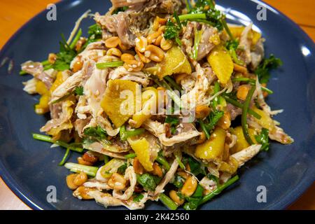 Delizioso e allettante pollo cinese sminuzzato Foto Stock