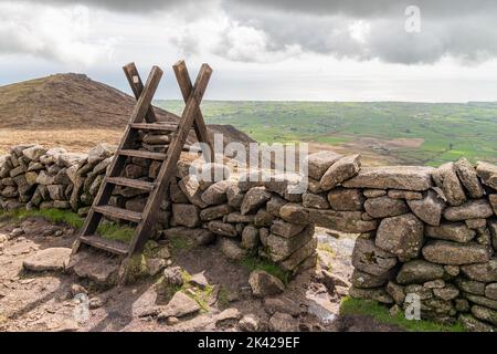 Un soffio su un muro di pietra nelle Mourne Mountains in Irlanda del Nord, Regno Unito Foto Stock