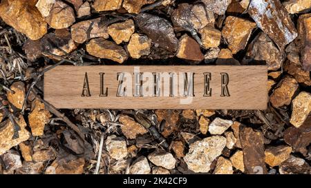 Morbo di Alzheimer. Scritta su superficie di legno. Telaio in legno su pezzi di pietra. Malattie e trattamenti Foto Stock