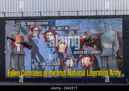 Murale dell'esercito di liberazione nazionale, muro di solidarietà, Northumberland Street, Belfast, Irlanda del Nord, REGNO UNITO Foto Stock
