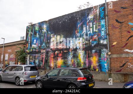 Murale, 'Blurry Eyed' di Dan Kitchener per la notte della Cultura 2016, Talbot Street, Cathedral Quarter, Belfast, Irlanda del Nord, REGNO UNITO Foto Stock