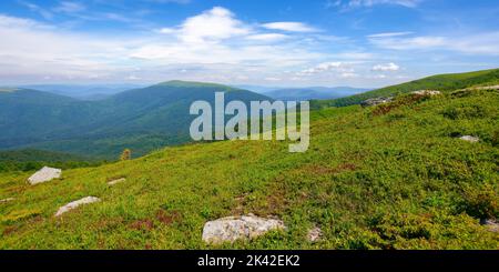prati alpini dei monti carpazi, pietre tra l'erba, clima caldo e soleggiato Foto Stock