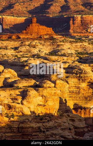 Luce all'alba sulle formazioni rocciose di Organ Rock Shale e Cedar Mesa in arenaria. Maze District, Canyonlands National Park, Utah. Foto Stock