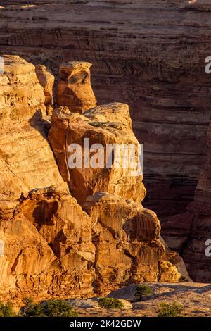 Luce all'alba sulle formazioni canyon di arenaria di Cedar Mesa nel Maze District, Canyonlands National Park, Utah. Foto Stock