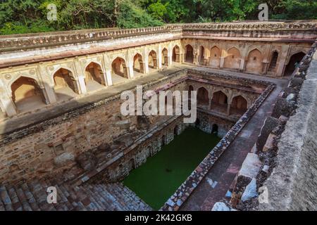 Dehli, India : Rajon ki Baoli 16th ° secolo passo bene nel Parco Archeologico Mehrauli. Foto Stock