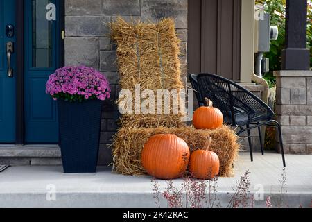 Zucche colorate, zucche e mamme creano un lussuoso ambiente di Halloween e di ringraziamento. Foto Stock