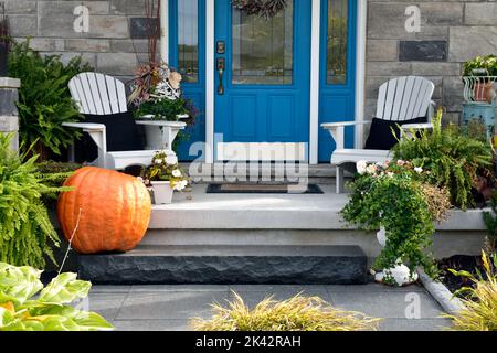 Zucche colorate, zucche e mamme creano un lussuoso ambiente di Halloween e di ringraziamento. Foto Stock