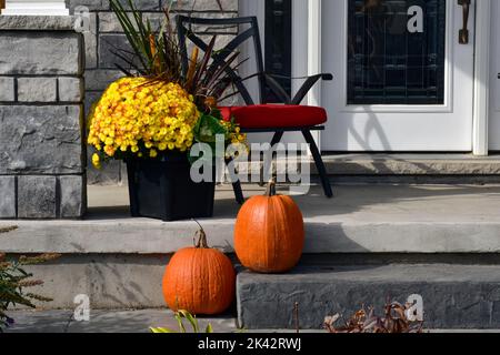 Zucche colorate, zucche e mamme creano un lussuoso ambiente di Halloween e di ringraziamento. Foto Stock