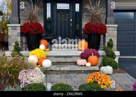 Zucche colorate, zucche e mamme creano un lussuoso ambiente di Halloween e di ringraziamento. Foto Stock