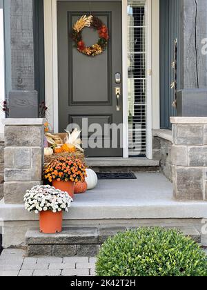 Zucche colorate, zucche e mamme creano un lussuoso ambiente di Halloween e di ringraziamento. Foto Stock