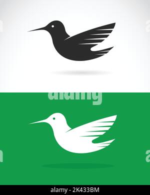 Immagine vettoriale di un disegno di colibrì su sfondo verde e bianco. Illustrazione vettoriale a strati facilmente modificabile. Animali selvatici. Illustrazione Vettoriale