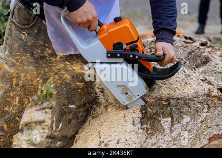 Durante una tempesta di uragano, un lavoratore che indossa una motosega segmenta i rami che cadono dagli alberi sull'asfalto Foto Stock