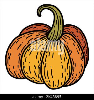Zucca in stile doodle disegnato a mano. Illustrazione lineare del vettore autunnale Illustrazione Vettoriale