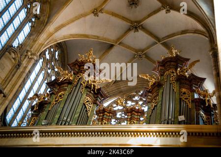 Soffitto della volta di Parler e organo a tubo alla Cattedrale di San Vito, Praga, Repubblica Ceca. Foto Stock