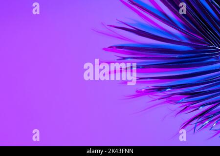 Immagine di una brillante foglia da rosa a blu illuminata al neon su sfondo viola con spazio copia Foto Stock