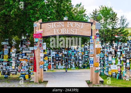 I viaggiatori possono inviare oltre 100.000 cartelli presso la Watson Lake Sign Post Forest, Watson Lake, Yukon Territories, Canada Foto Stock