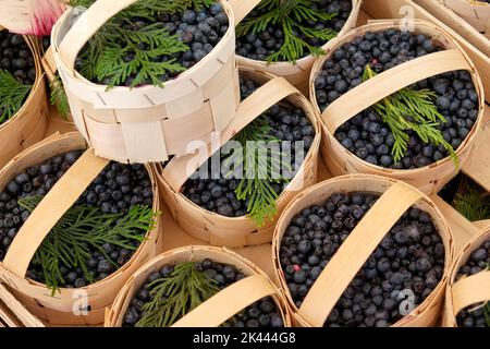 Cestini con mirtilli al mercato degli agricoltori Foto Stock