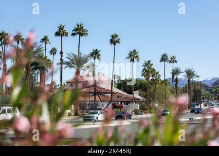 Vista incorniciata da fiori e palme del centro di Rancho Mirage, California, Stati Uniti. Foto Stock