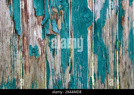Sfondo in legno vintage con peeling. Vecchio legno texture grunge sfondo, graffiato blu vernice su tavole di legno muro Foto Stock