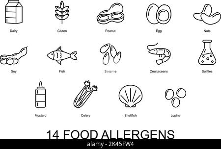 14 allergeni alimentari. Set di icone allergeni di base. Illustrazione vettoriale Illustrazione Vettoriale