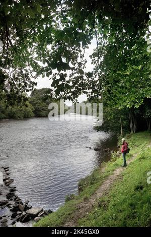 donna solitaria accanto al fiume forth stirlingshire scozia Foto Stock