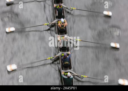 Vista dall'alto di piloti di equipaggio femminili che remano in una conchiglia da corsa octupla, una squadra di eights. Foto Stock