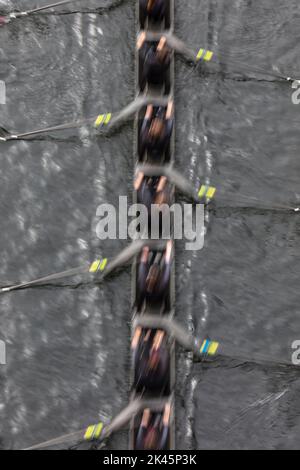 Vista dall'alto di piloti di equipaggio femminili che remano in una conchiglia da corsa octupla, una squadra di eights. Foto Stock