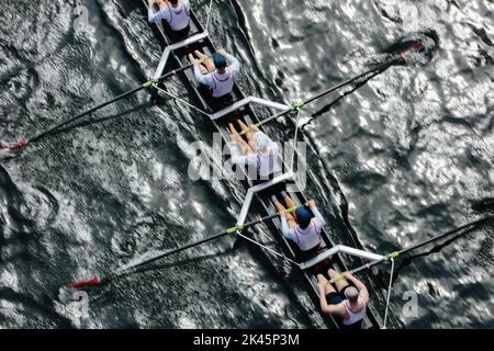 Vista dall'alto di piloti di equipaggio femminili che remano in una conchiglia da corsa octupla, una squadra di eights. Foto Stock