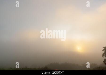 Il sole splende attraverso la nebbia al mattino presto Foto Stock