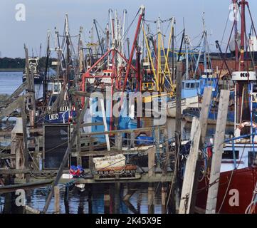 La flotta di pescatori in porto. Lynn del re. Norfolk, Inghilterra. REGNO UNITO. Circa anni '90 Foto Stock