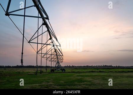 Splendida vista dei campi da pivot da Dubai Ras al Khor Foto Stock