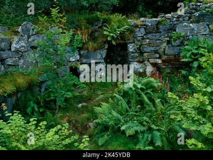 Vista e della parete interna di Caisteal Grugaig Iron Age Broch, Lochalsh, Scotland, UK, che mostra gli ingressi alla scala e una cella (L) nella doppia parete. Foto Stock