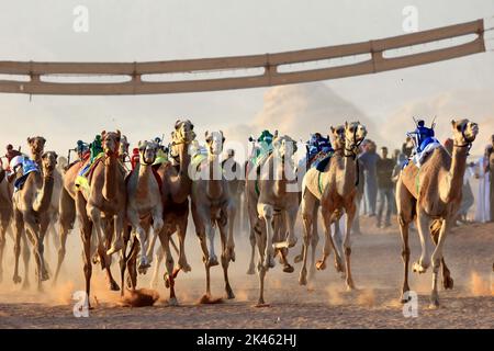 Amman, Giordania. 30th Set, 2022. I cammelli competono durante una corsa dei cammelli nel deserto di Wadi Rum, Giordania, 30 settembre 2022. Un festival di corsa dei cammelli ha preso il via venerdì nel deserto di Wadi Rum in Giordania, con oltre 500 cammelli che partecipano alla gara. Credit: Mohammad Abu Ghosh/Xinhua/Alamy Live News Foto Stock