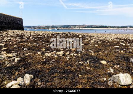 Guardando indietro attraverso il porto e la strada sopraelevata verso Marazion dal Monte di San Michele. Marazion - Cornovaglia, Inghilterra, Regno Unito. 14th agosto 20 Foto Stock