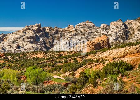 Rocce a Yampa Plateau, Split Mountain in lontananza, vista da Cub Creek Road, Dinosaur National Monument, Utah, USA Foto Stock