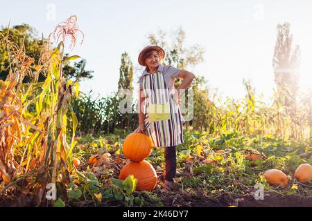 Lavoratore anziano che raccoglie vegetali. Donna contadina che raccoglie zucche biologiche nel giardino autunnale. Lavoratore felice fiero Foto Stock
