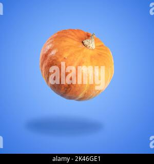 Una zucca che si levita su uno sfondo blu. Halloween e sfondo del giorno del Ringraziamento Foto Stock