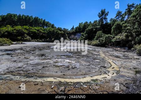 Il piatto della padella è un cratere eruttivo con un pavimento instabile pieno di sorgenti calde e fumarole bollenti presso il Wai-o-Tapu Thermal Wonderland Foto Stock