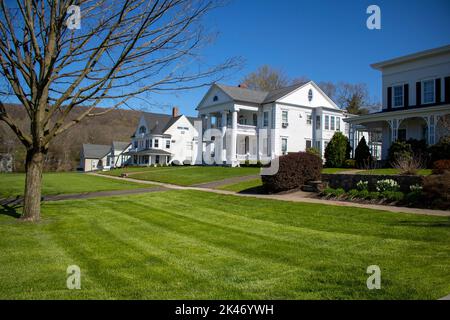 Vista su strada della linea di case in un ambiente suburbano all'aperto con erba, alberi e un cielo blu chiaro Foto Stock