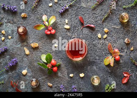 Bottiglie di olio essenziale per aromaterapia con incenso, lavanda, timo e verde inverno fresco su fondo scuro Foto Stock