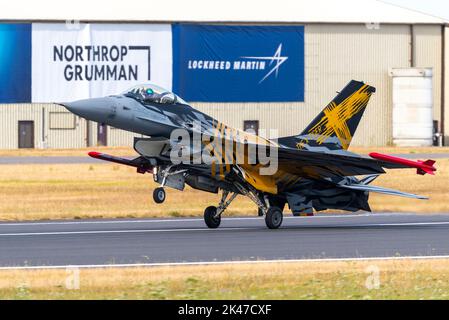 Componente Belga Air General Dynamics F-16AM Fighting l'aereo da caccia Falcon Jet nella tigre NATO incontra uno schema speciale, atterrando al salone aereo RIAT. Belgio Foto Stock