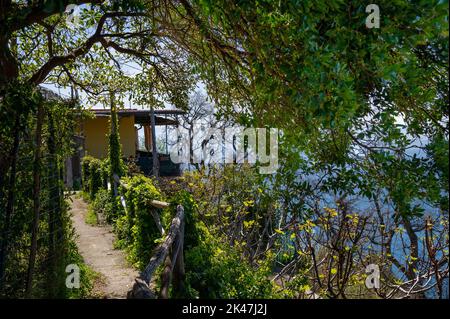 Il sentiero attraverso gli alberi verdi che si affacciano per tenersi all'ombra del mare sulla costiera amalfitana Foto Stock