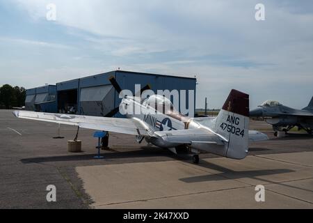 Un F-51 Mustang volò dalla Guardia Nazionale aerea del Minnesota Foto Stock