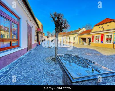 SZENTENDRE, UNGHERIA - 24 FEBBRAIO 2022: La mappa della città vecchia in rilievo di bronzo per i ciechi su una via turistica Duntsa Jeno, il 24 febbraio a Szentendre Foto Stock